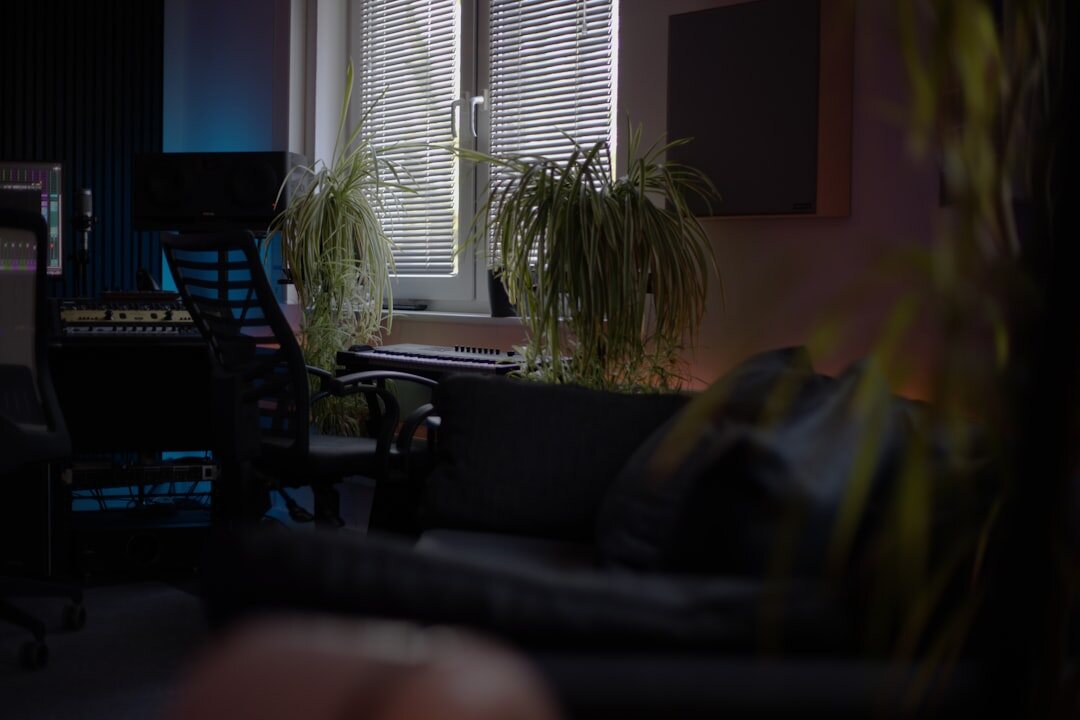 Audio waveform visualization on computer screen in recording studio